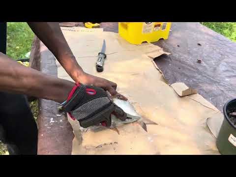 How to clean a Porgy whole!! (Super fast method)