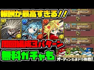 報酬激ウマ！オーディンたまドラ降臨 周回編成3パターン解説 無課金編成も【パズドラ】