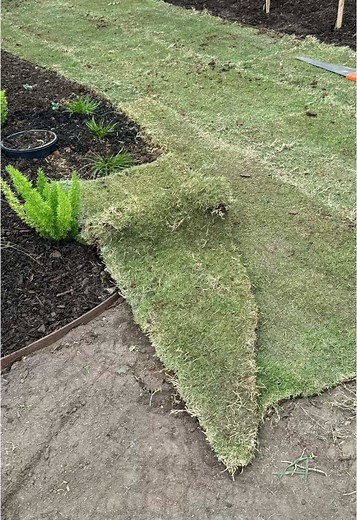 AI Transforming Backyard Landscaping with Stunning Designs