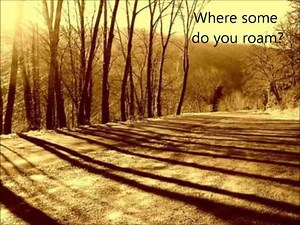 Agnes Obel-Just so (lyrics)