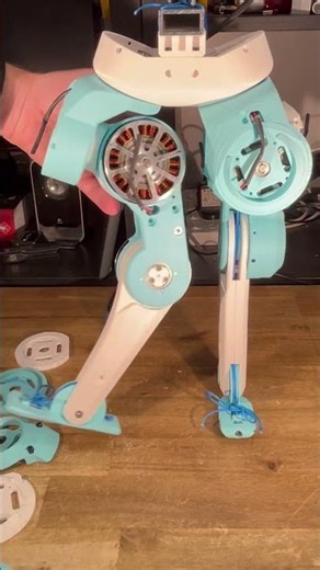 Little biped robot. Ten DOF, GIM6010-8 brushless, planetary actuators. #robot #mechatronics #biped