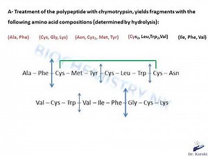 Protein sequencing sample exercise solved: elucidation of disulfide bonds