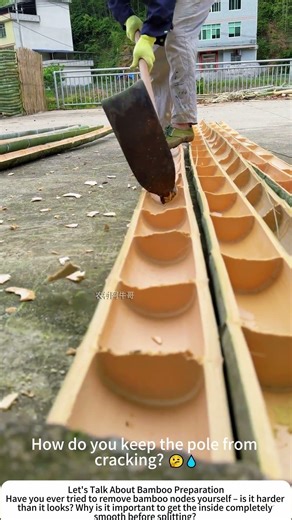 Processing Bamboo Nodes – Preparing Fresh Poles for Weaving 🎋