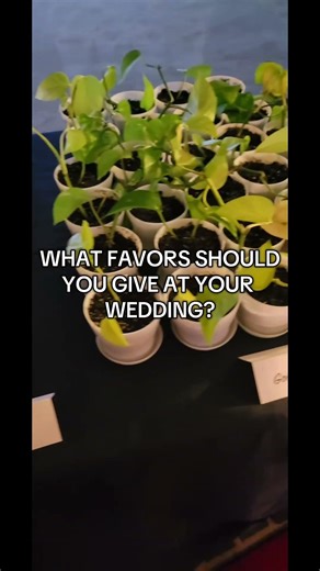 Unique Favors Ideas for Your Wedding #weddingplanner #weddinginspiration #wedding