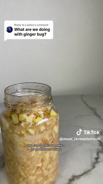 Understanding Ginger Bug: Uses, Recipes, and More!