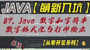 87. Java 数字和字符串 - 数字格式化与打印输出