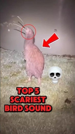 5 SCARIEST ANIMAL SOUNDS You Won’t Believe Are Real #shorts #animals #sound #scary #trending #fyp