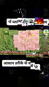 242K views · 5.6K reactions | rice blast disease symptoms and control #viralreels #reelsviral #shortsvideos #shortsvideo #agriculture #farmerlife #video #farmer #viralvideo #rice #paddy #kissan #khetibadi #kheti | Krishi helper | Facebook