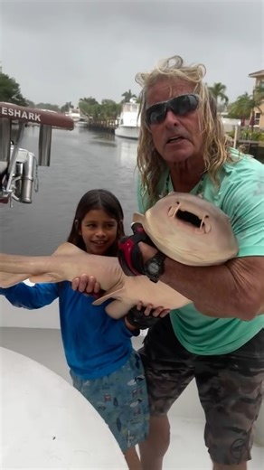 Mark The Shark on Instagram: "Raining day today good time to release a new dock pet !!"