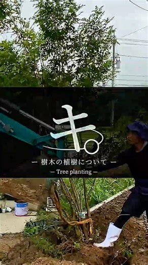 About Planting Trees #short #shorts #architecture