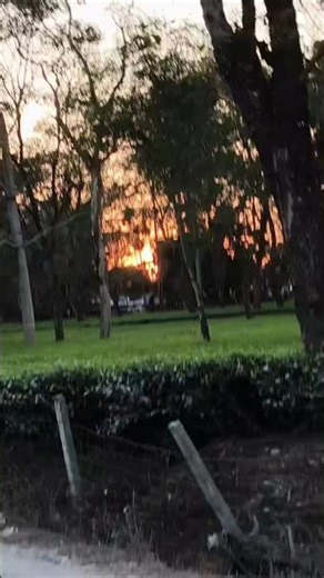 Humko tumse pyar Tea garden 👀 #viralshorts