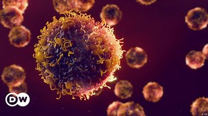 How can you reduce your cancer risk? – DW – 10/30/2024