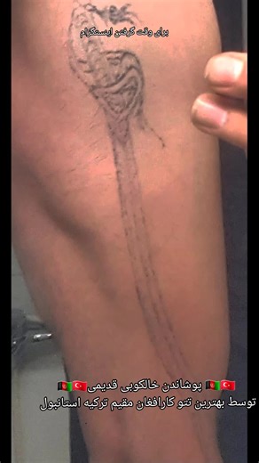 Intricate Lion Tattoo Process: Step-by-Step Guide