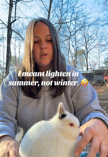 Breeding Himalayan Rabbits: A Closer Look