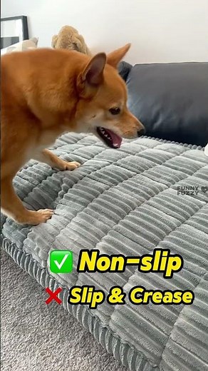 No More Slipping! The Best Couch Cover for Leather Sofas 🐾 #couchcovers #petmaths #petfriendlyhome