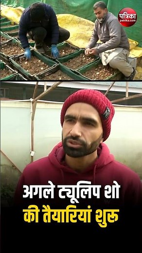 J&K: Srinagar में Tulip Show के लिए फूलों की बुआई जोरों पर | Tulip Garden | Polyhouse