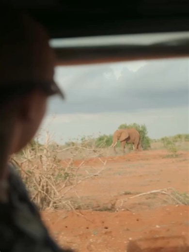 While the Maasai Mara is iconic, Tsavo East National Park offers an experience that is truly in a league of its own. If you’re craving raw, untamed wilderness and a more intimate connection with nature, this is the destination for your next safari. Known as the