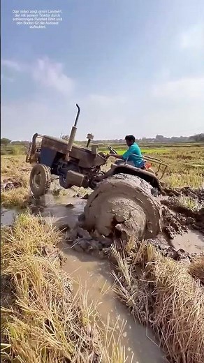 Schlammiges Terrain: Wie ein Traktor Reisfelder für die neue Saat vorbereitet