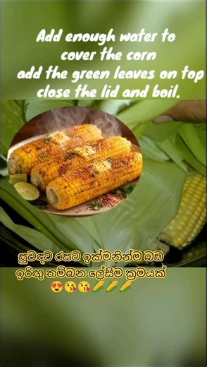 Corn | Secret Boiling Method | So Fragrant & Delicious | ML Food Kingdom 🇱🇰 #cooking #food #recipe