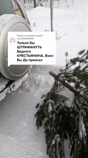 Snowy Landscape with SUV and Fallen Tree