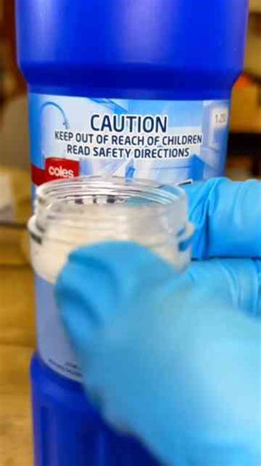 Bacteria vs bleach under the microscope!