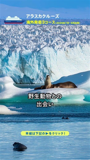 [Alaska Cruise] A highly anticipated overseas departure! Embark on a cruise to encounter glaciers...