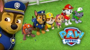 PAW Patrol BLM Controversy | Know Your Meme