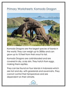 Primary Worksheets: Komodo Dragon - Mr. Greg