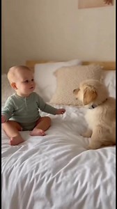 Baby vs Puppy — The Cutest Little Argument Ever! 🐶👶😂 A baby and a playful puppy just can’t stop “arguing” in their own adorable language! 😂 The baby shouts, the puppy barks back — both full of energy, both absolutely irresistible. 🐾❤️ A funny and heart-melting moment that shows what true friendship looks like! 💖 #puppy #baby #funnyvideo #cutemoments #puppylove #puppyvibes #familymoments #dogandbaby #viralshorts | Home Pet Haven