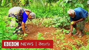కోయంబత్తూర్లో ఈ దంపతులు తమ ఆహారానికి కావాల్సిన కూరగాయలు, పండ్లతో పాటు, అన్ని ఉత్పత్తులన్నీ తామే పండించుకుంటున్నారు. నీళ్లు, కరెంటు కోసం కూడా ప్రకృతి మీదే ఆధారపడుతూ పర్యావరణ హితంగా జీవిస్తున్నారు. జులై 28 ప్రపంచ ప్రకృతి పరిరక్షణ దినోత్సవం సందర్భంగా ఆ దంపతుల వినూత్న జీవన ప్రయాణం వారి మాటల్లోనే తెలుసుకుందాం. #WorldNatureConservationDay #India #Naturelife #Nature | BBC News Telugu