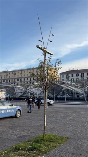 Trams in Europe 🚋Modern, electric, and eco-friendly, European trams are a safe and reliable #shorts