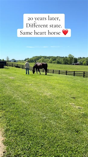 ❤️ The Equestrian Economist 🇺🇸❤️🐴🤘🏻 The Equestrian Revolution has begun. Are you in? Link in bio. #equestrian #horsegirl #equestrianrevolution #horse #eamequestrianconsulting