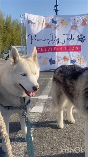 【千葉県】酒々井プレミアムアウトレット（PremiumDogFesta）