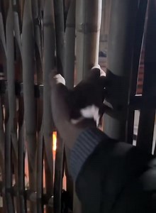 81K views | C Plus on Reels | Facebook