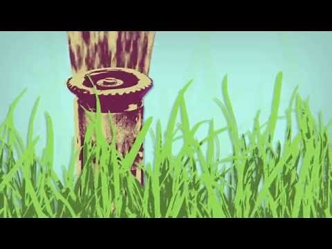 Water – Use It Wisely Home Water Challenge