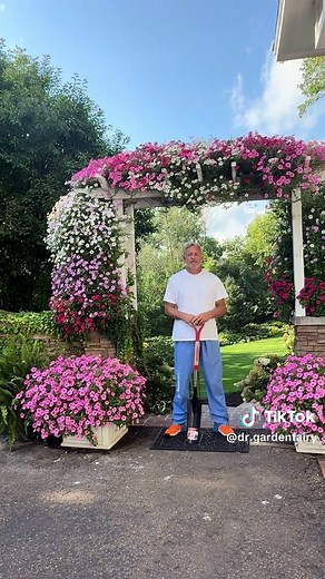 🌸Petunia Appreciation Post🌸 These petunias grow to be ginormous and stay beautiful all the way through September! The flowers around them are coming to an end but these petunias still look amazing! 🌸 @provenwinners #pretty #beauty #garden #gardening #flowers