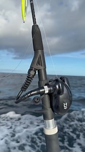 5.5K views · 14 reactions | @dominionrods E-ROD™ uses proprietary...