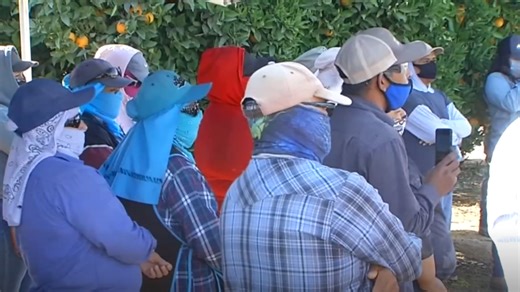 California bill could boost farmworker pay, but critics warn of higher costs
