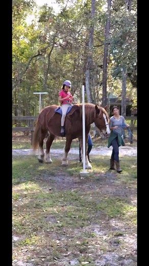 🐴💙 Ever heard of equine-assisted therapy? This powerful therapeutic approach uses horses to help individuals improve mental health, emotional well-being, and physical abilities. Horses provide non-judgmental feedback, build trust, and encourage personal growth. Whether for anxiety, PTSD, autism, or physical rehabilitation, equine therapy can be life-changing! 🌿✨ #EquineTherapy #HealingWithHorses #monday #freshweek #makeitcount #staypositive #mondaymotivation #smallbusinessbigdreams #smallbusi