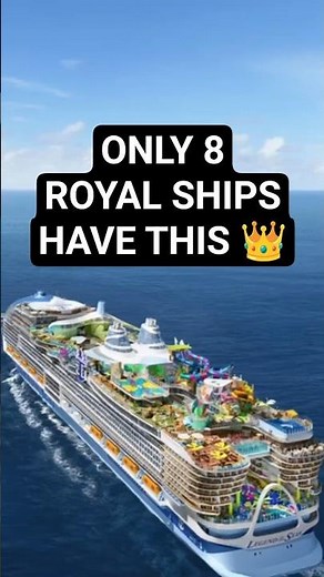 Only 8 Royal Caribbean ships have this unique feature 👑