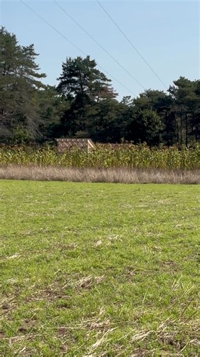 Skegemog Raptor Center | LTBB Odawa Natural Resources Department