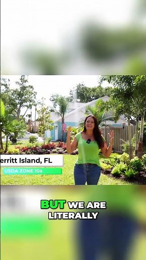 Transform Your Space into a STUNNING Butterfly Garden Haven!