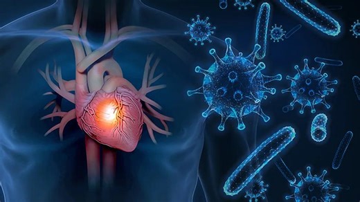 Matter of the Heart: Prioritizing Harm Reduction in Patients With Drug Use-Associated Infective Endocarditis