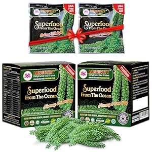 LONGEVITY Dehydrated Sea Grapes, 8.4 oz of (Pack of 12), Umibudo Green Caviar, Lato Seaweed | Enhance Health, Boosting Immune System, Valued Natural Gift From Sea (Original, 240g)