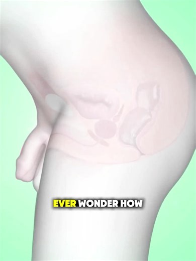 Understanding the Digital Rectal Exam Procedure