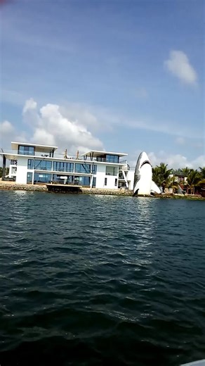 sharpstar 😎 (@starboysenior3)’s videos with original sound - Pember Pakhrin