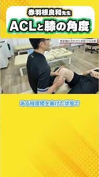 [Scary if you don't know] The relationship between knee angle and ACL load necessary for rehabili...
