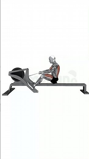 Rowing Machine - Perfect Form Guide #shorts