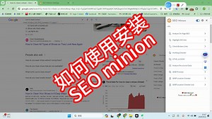 SEO工具SEO minion如何使用和安装