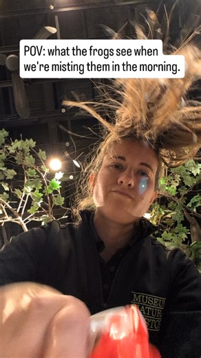 41 reactions · 3 comments | Bonus - the frogs now have the ability to...